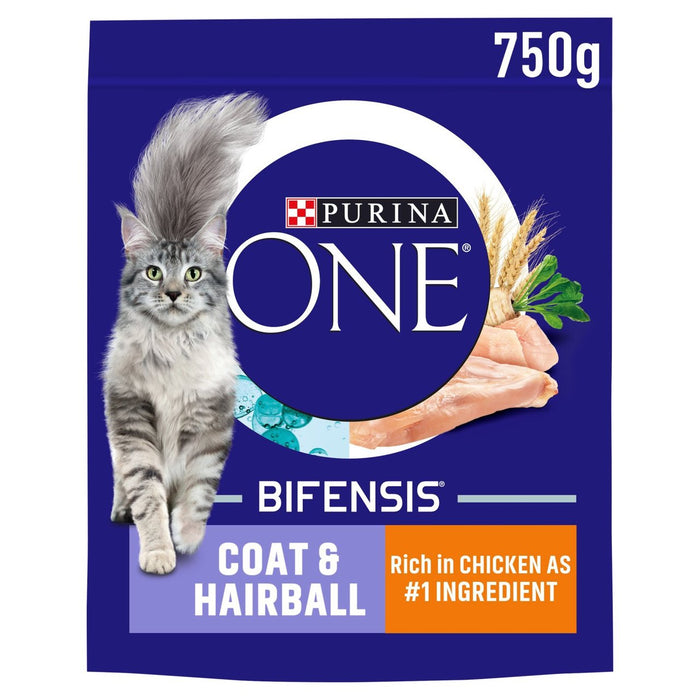 Purina ein Mantel und Haarball trockener Katzenfutter Hühnchen 750g